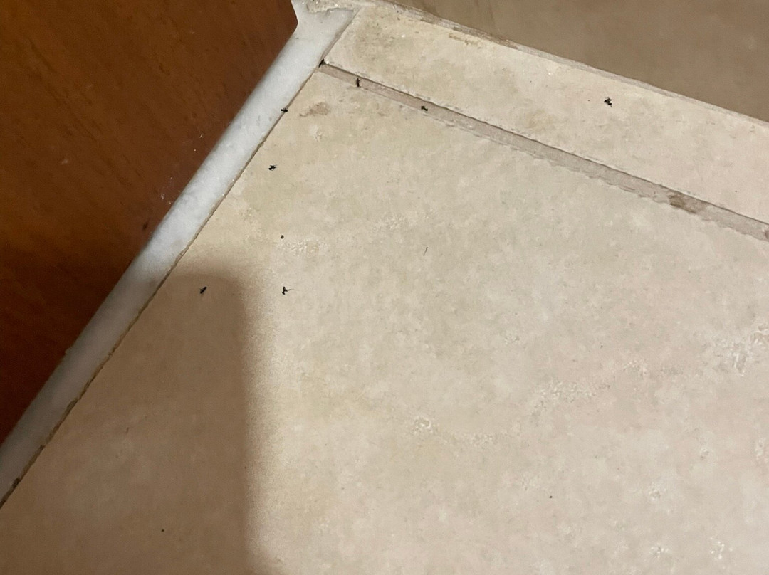 Kresten Royal Euphoria Resort主图