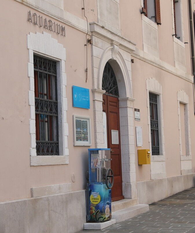 Aquarium Piran-皮兰必去景点