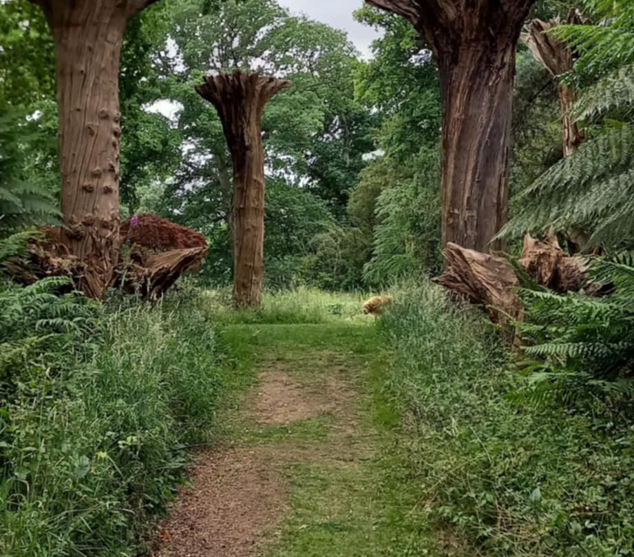 Raveningham Gardens-Raveningham必去景点