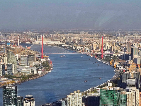 杨浦大桥-上海市必去景点