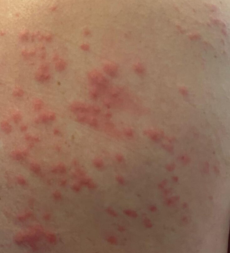 Mangrove Center-Kralendijk必去景点