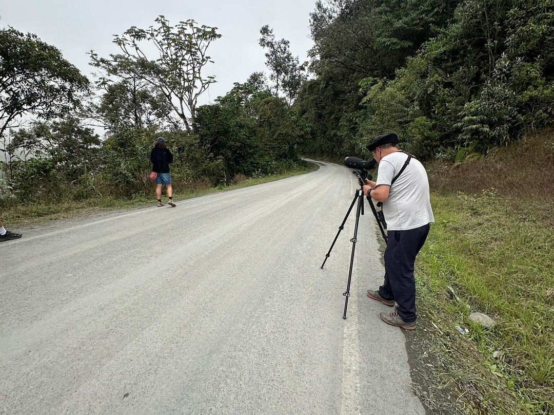 EXPEDICIONES VILCA-Manu必去景点