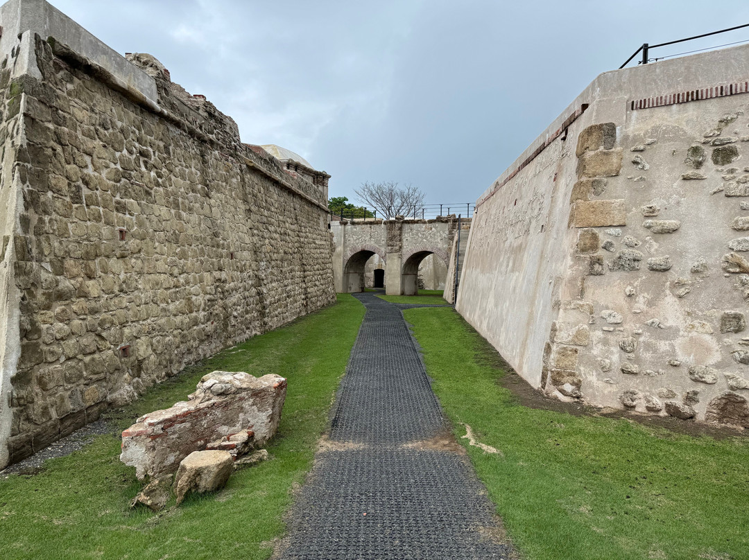 Yala Tours Panama-巴拿马城必去景点