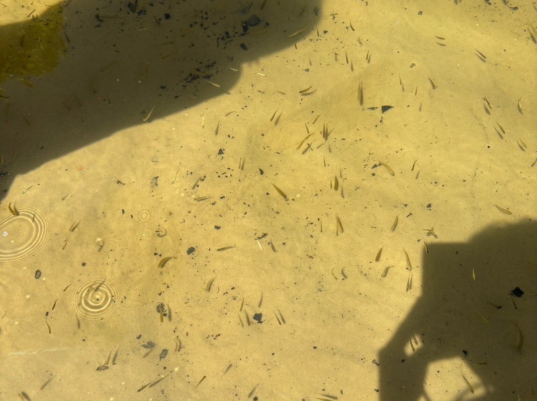 Restaurante Da Carminha