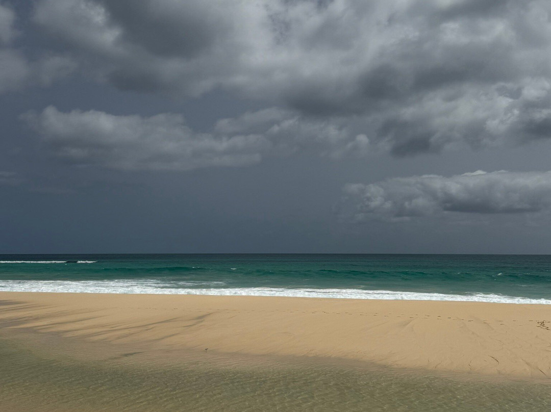 Santa Monica Beach-圣莫尼卡必去景点