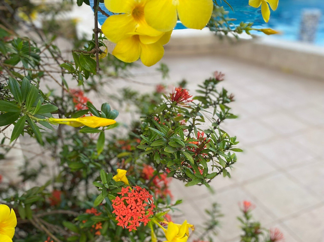 Mandela Court Grenada主图