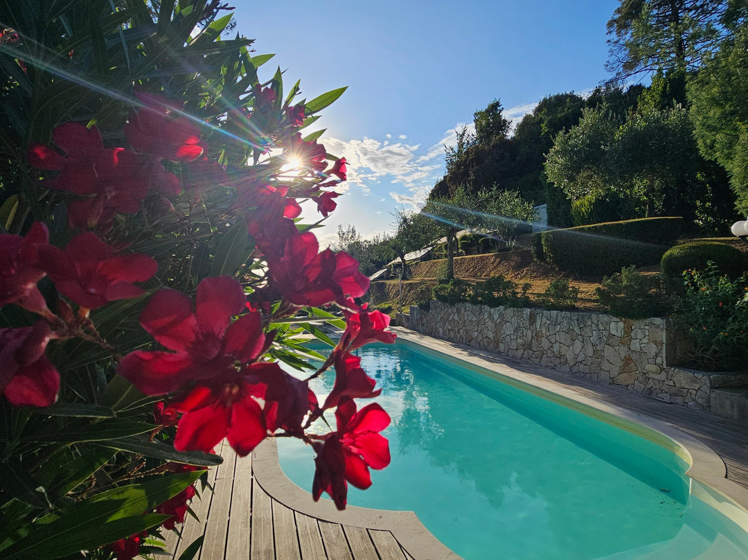 Villa Borgovecchio B&B主图