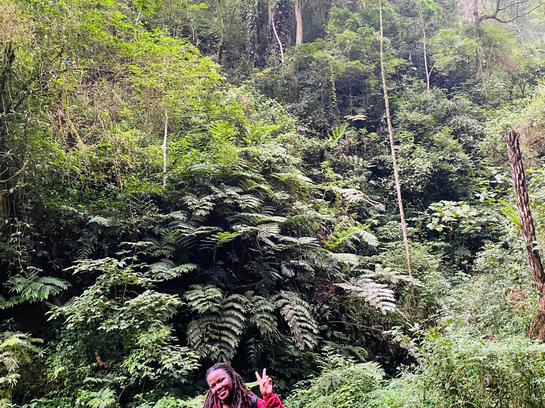 Safari 56 Limited-Dar es Salaam必去景点