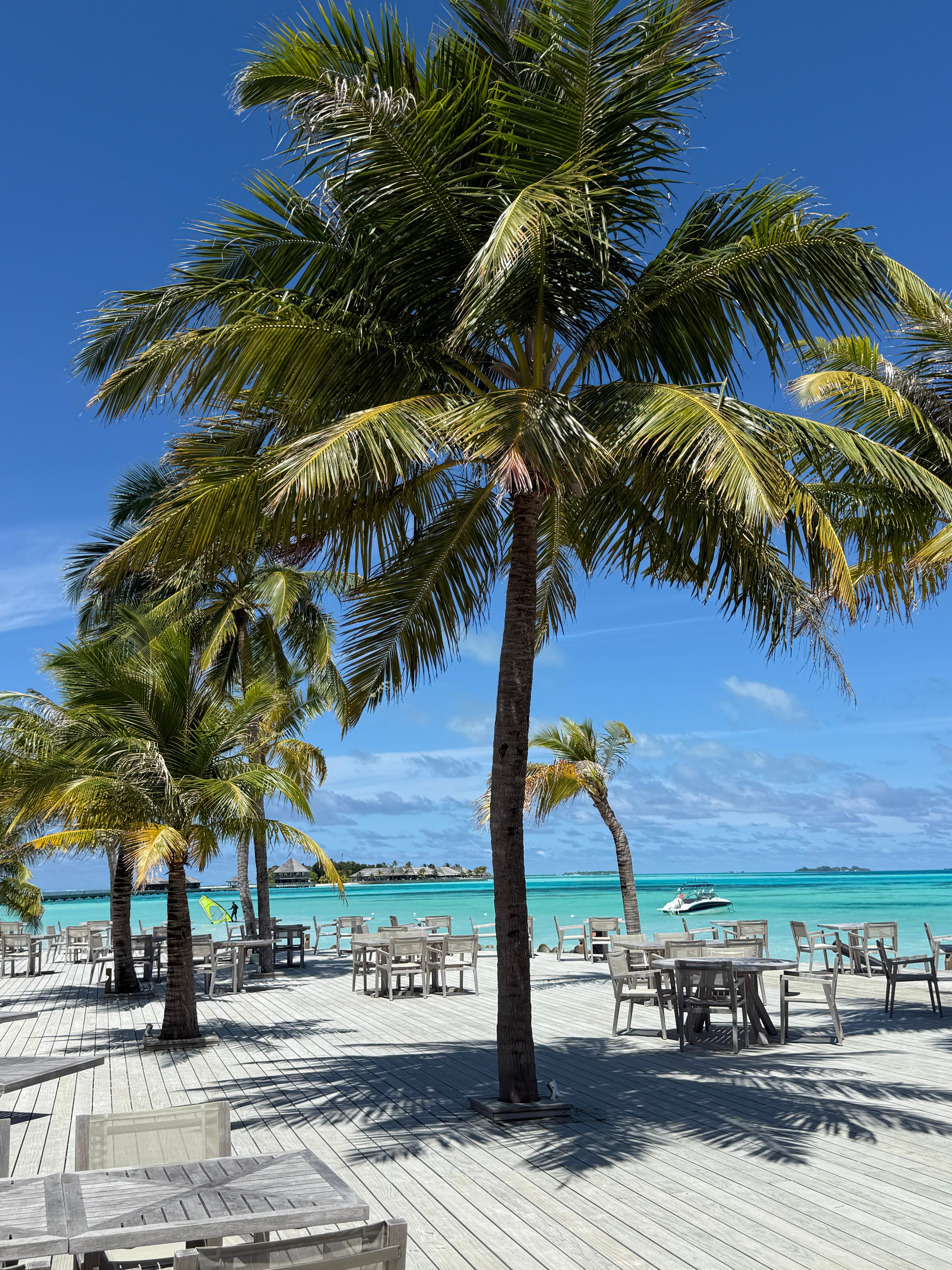 Jawakara Islands Maldives-泳池