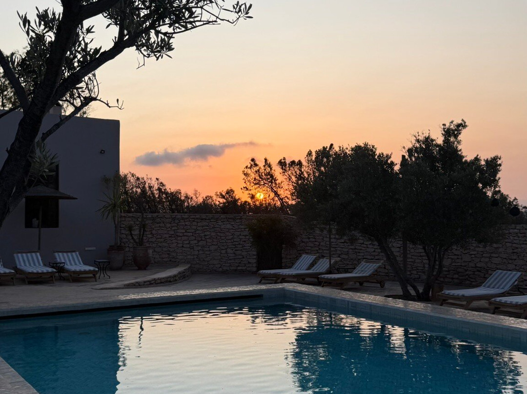 Les Jardins de Villa Maroc主图