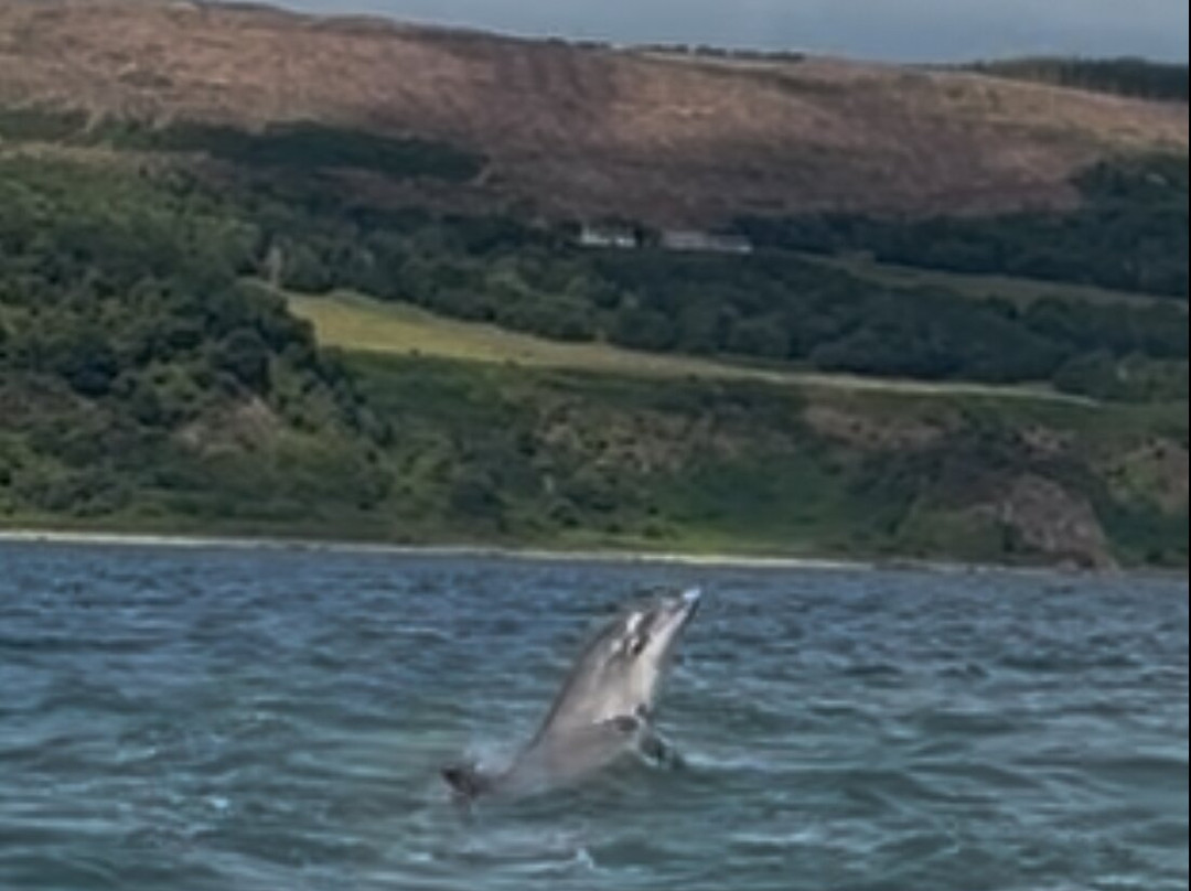 Dolphin Spirit Inverness-因弗内斯必去景点