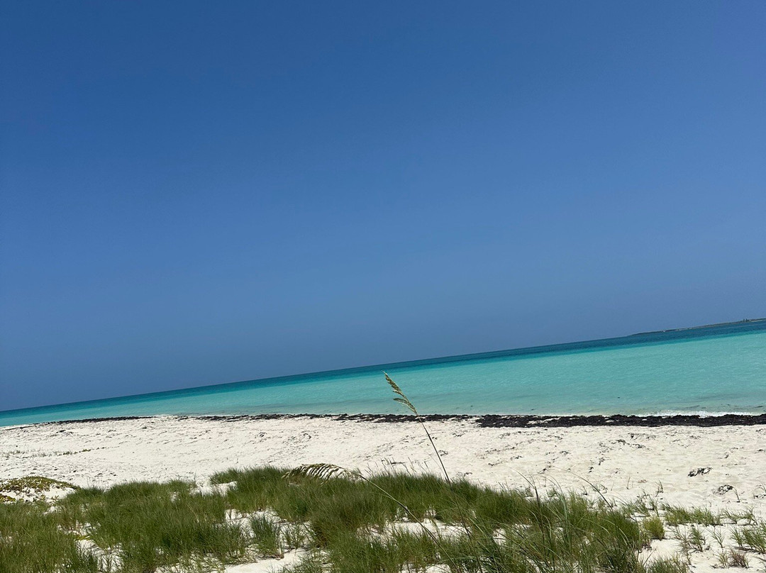 Playa Las Gaviotas-圣玛丽亚岛必去景点