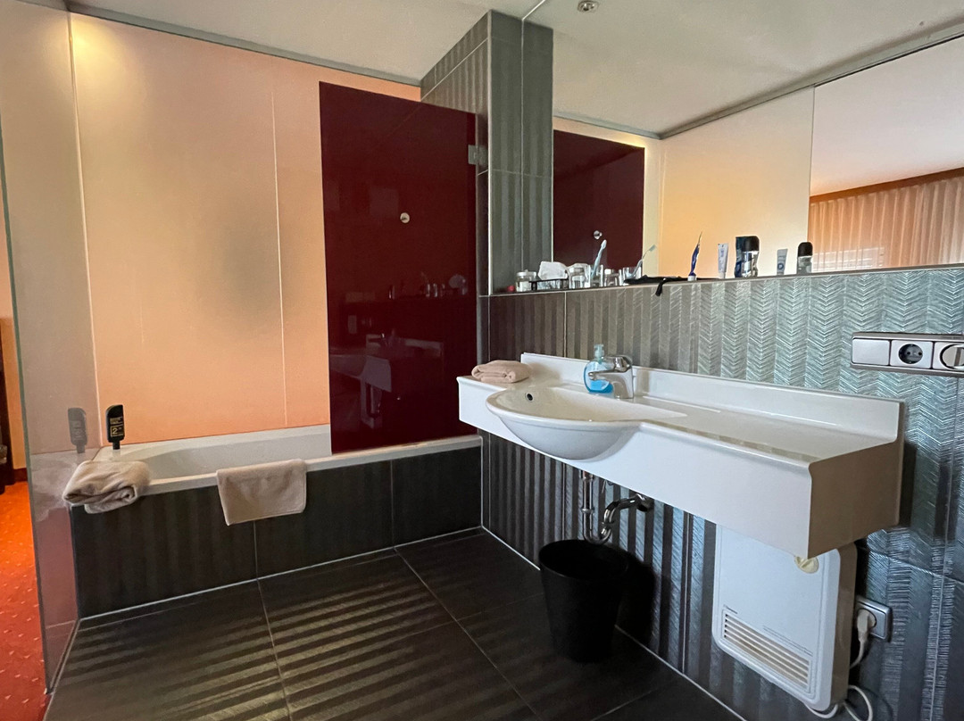 萨尔茨堡酒店主图