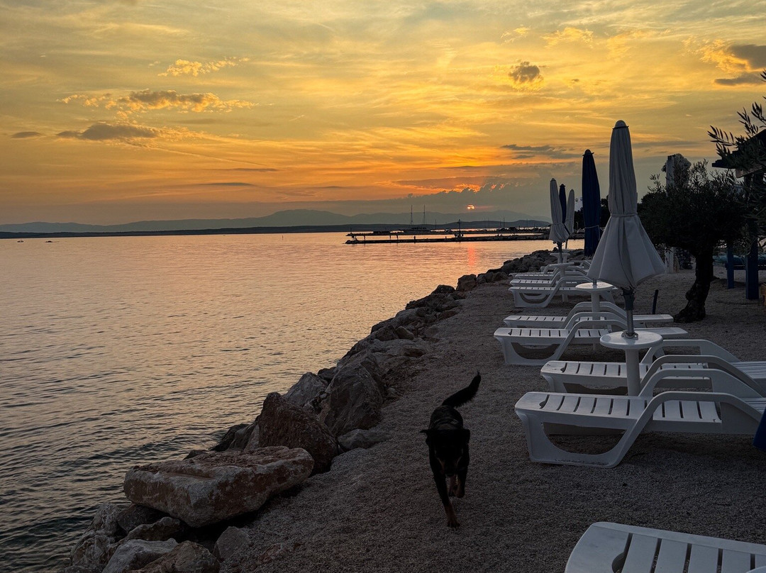Monty's Dog Beach and Bar-斯利维尼萨必去景点