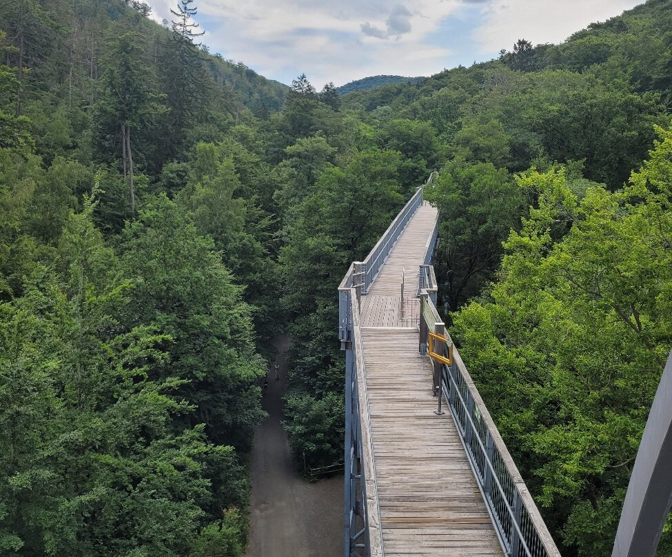 Baumwipfelpfad Bad Harzburg-巴特哈尔茨堡必去景点
