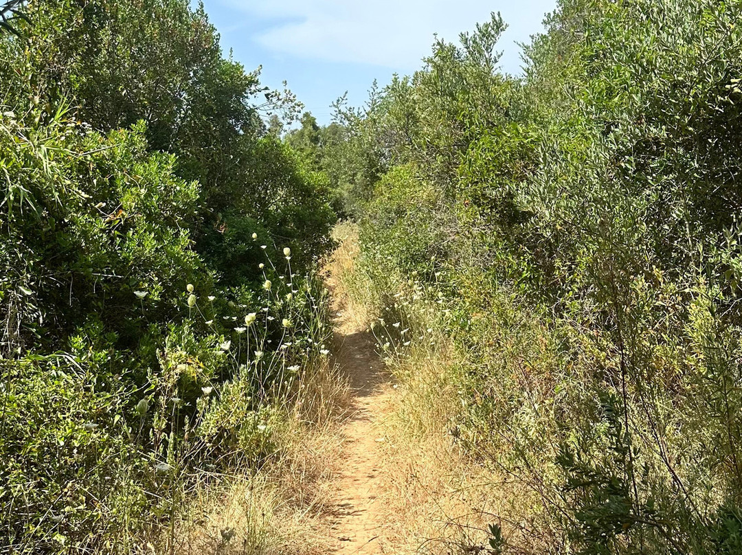 Bikesul-阿尔布赞拉必去景点