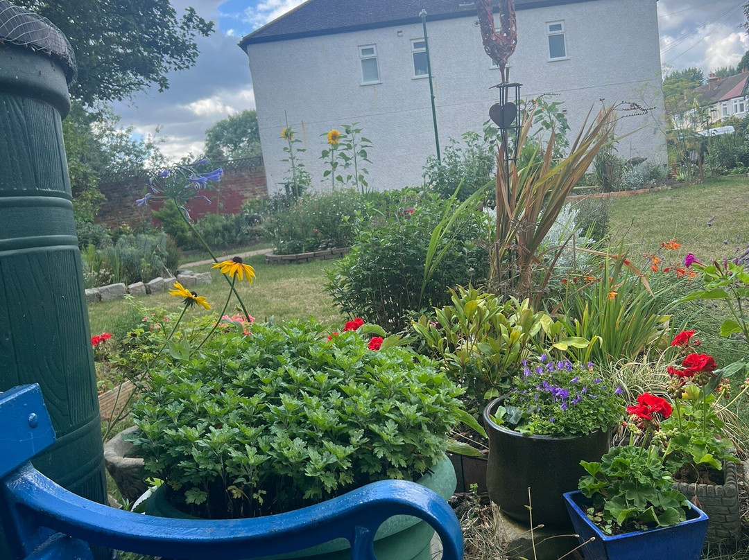 Hackbridge Community Garden-Carshalton必去景点