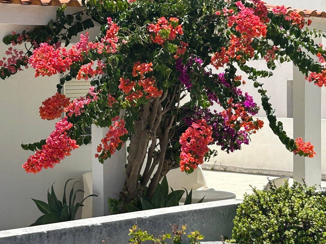 Rota das Ilhas - Boat Tours-奥良必去景点