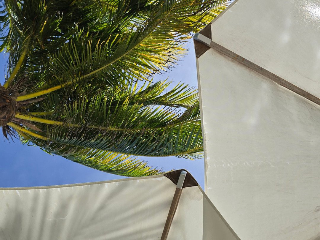 Etéreo, Auberge Resorts Collection主图