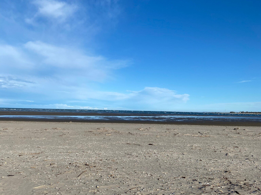 Giardino Botanico Litoraneo di Porto Caleri-罗索利纳必去景点