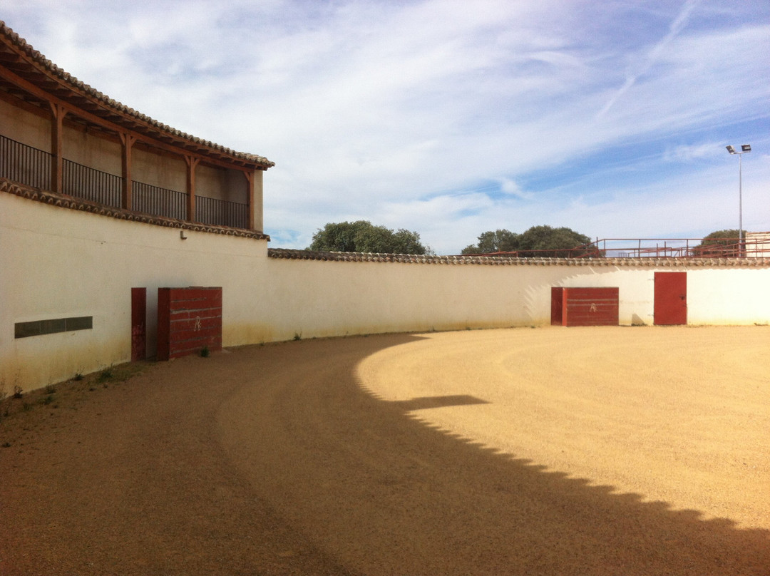 Ganaderia Antonio Palla-Ledesma必去景点