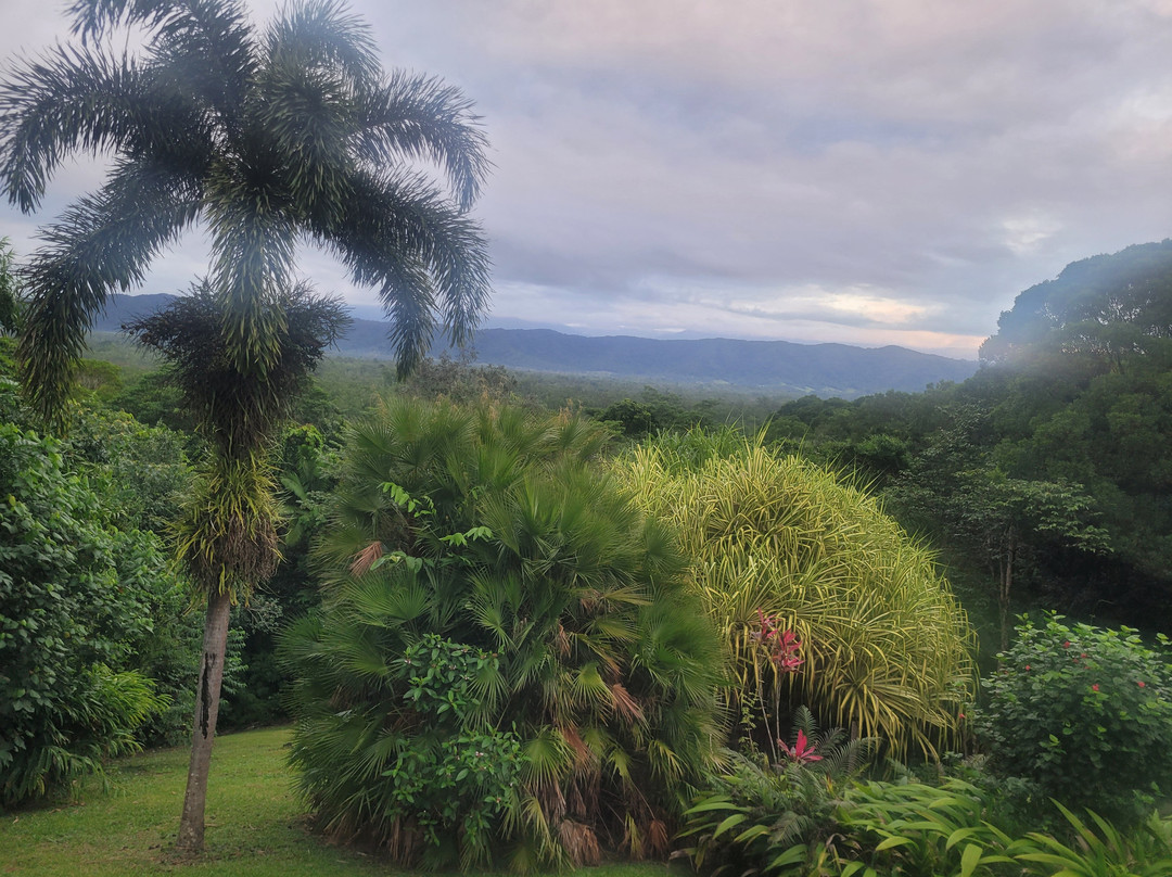 Daintree Manor B&B主图