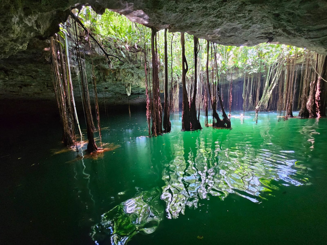 Cenote La Casa De Los Pájaros-Tizimin必去景点