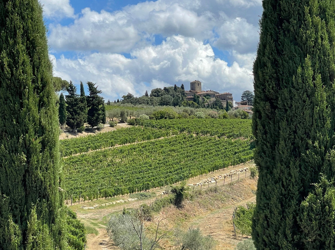 Azienda Agricola Il Palagio di Panzano-Panzano in Chianti必去景点