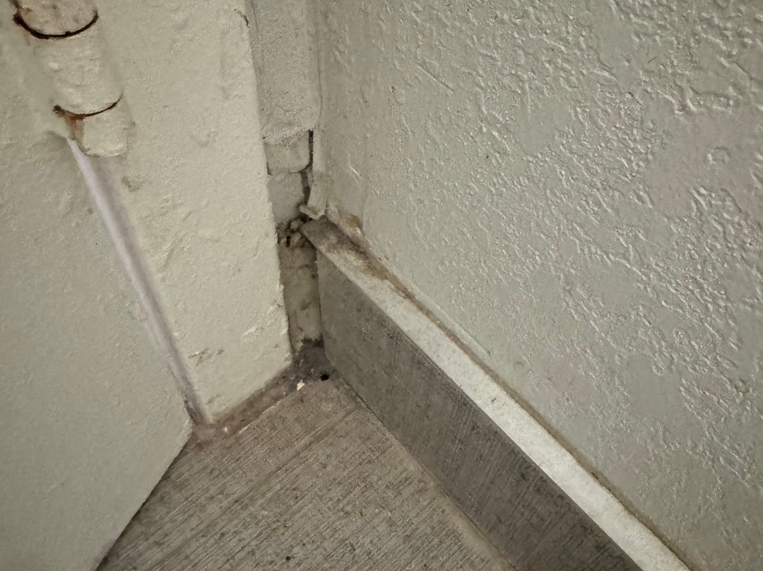 芝加哥欧克布鲁克假日酒店主图