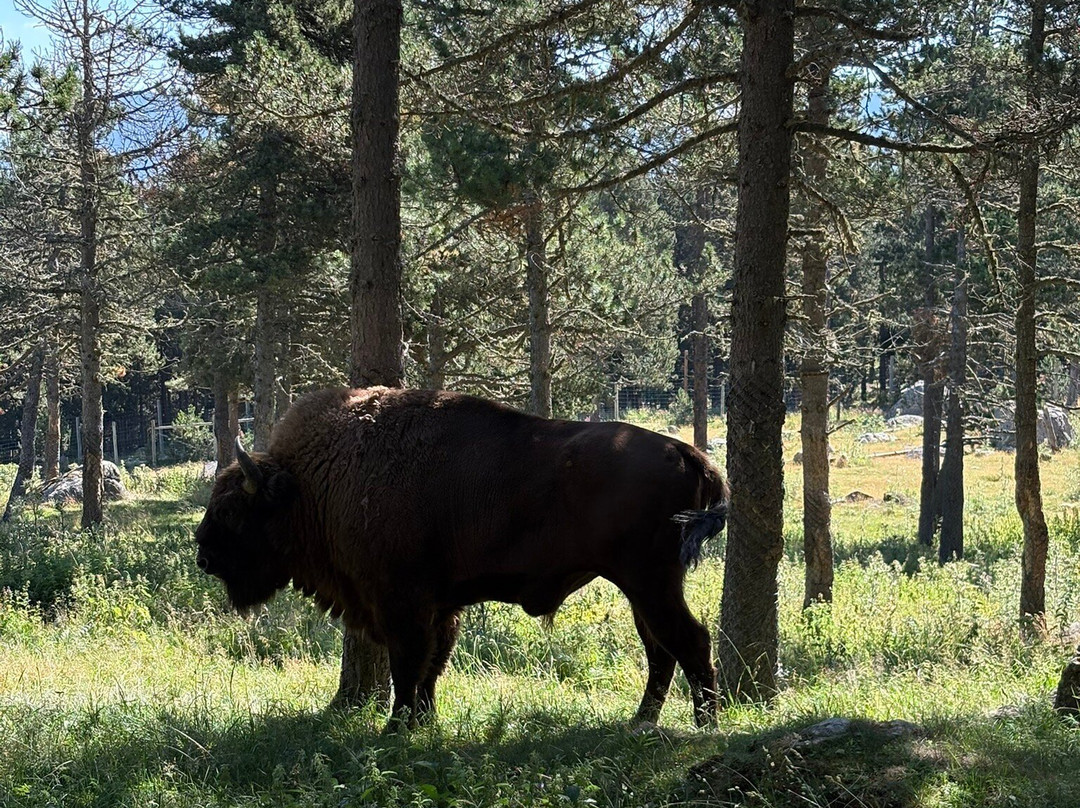 Parc animalier des Angles-Les Angles必去景点