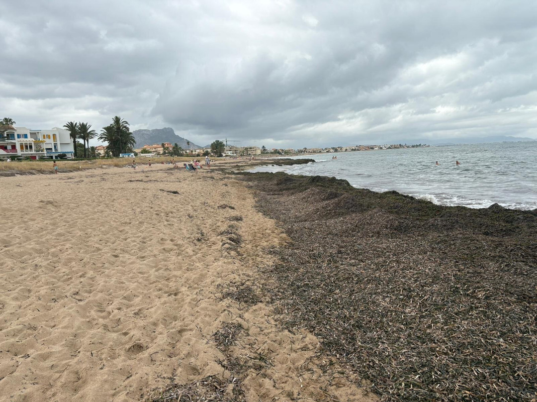 Playa Els Molins-德尼亚必去景点