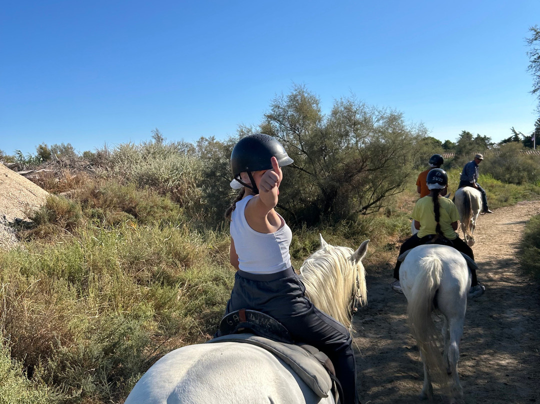 Tamaris Promenade a Cheval-滨海圣玛丽必去景点
