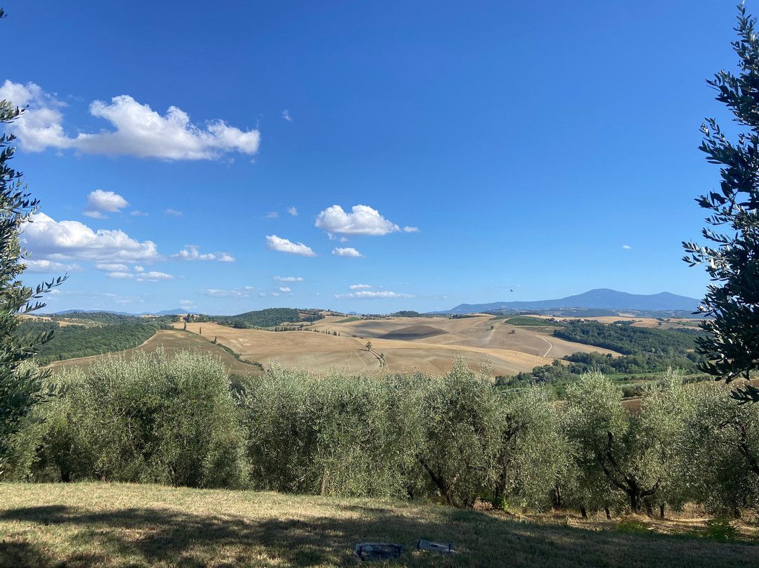 Farm Holiday La Canonica主图