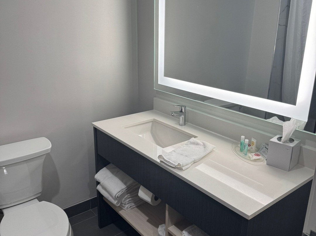 Comfort Suites Bloomington I-55 And I-74主图