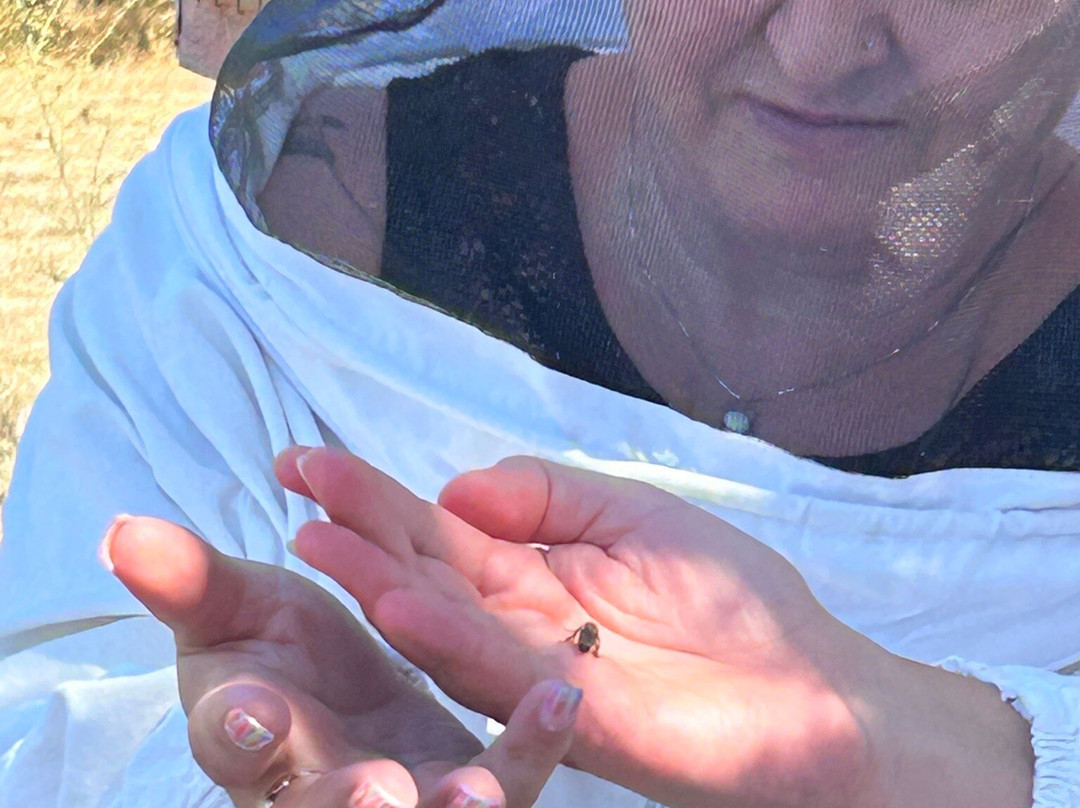 Dias Beekeeping-Svoronata必去景点