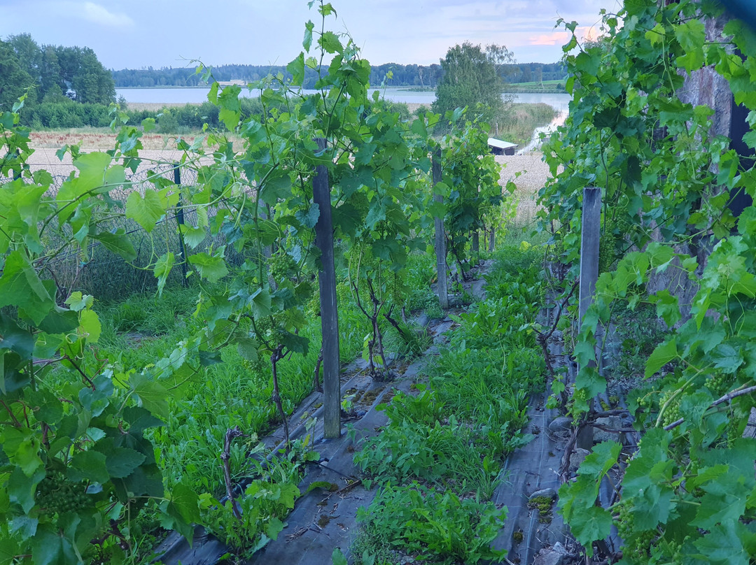 Blaxsta Vingard-Flen必去景点