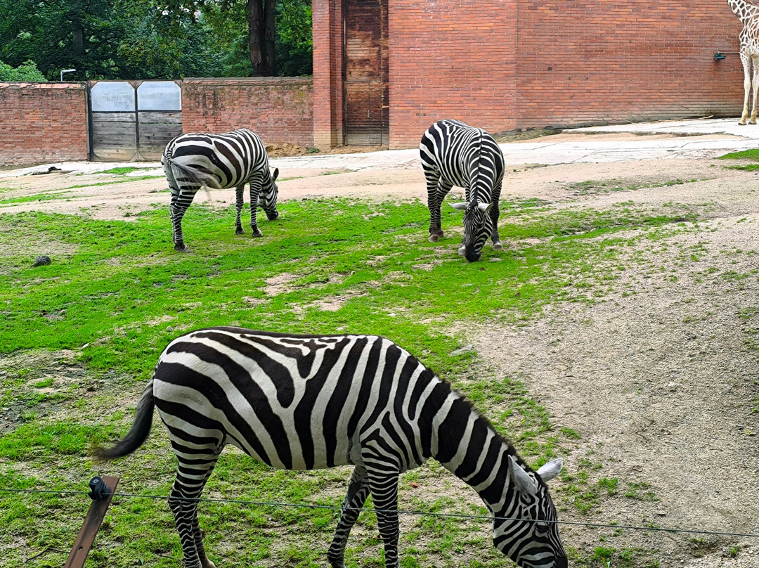 Zoo Liberec-利贝雷茨必去景点
