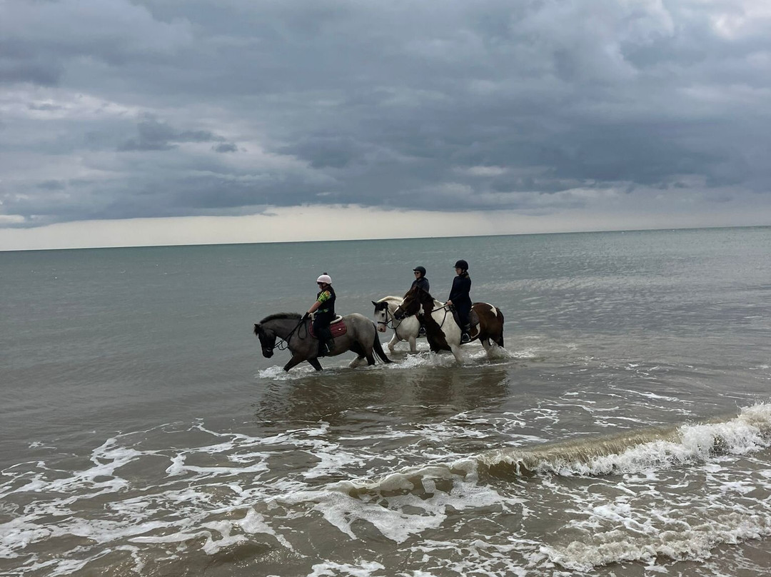 Shrule Equestrian Centre-Gorey必去景点
