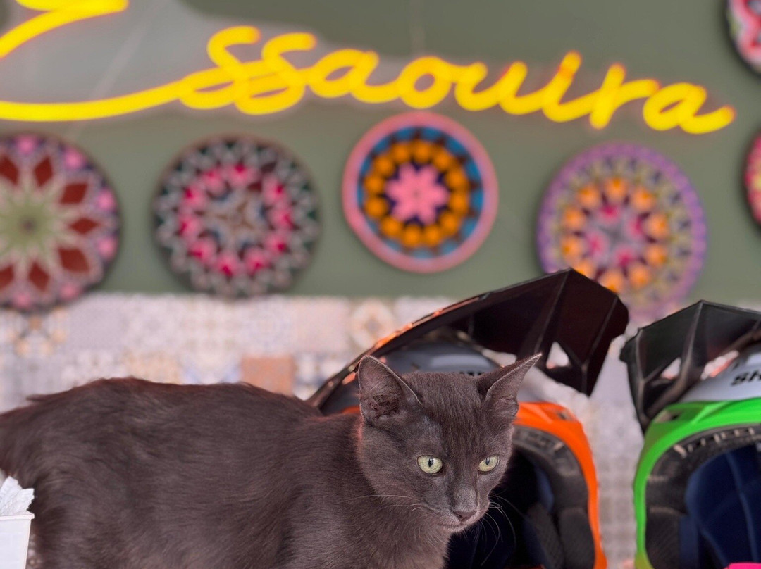 Sabiza Quad Essaouira-索维拉必去景点