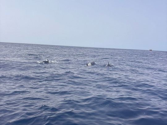 Fastpass-班纳玛德纳必去景点