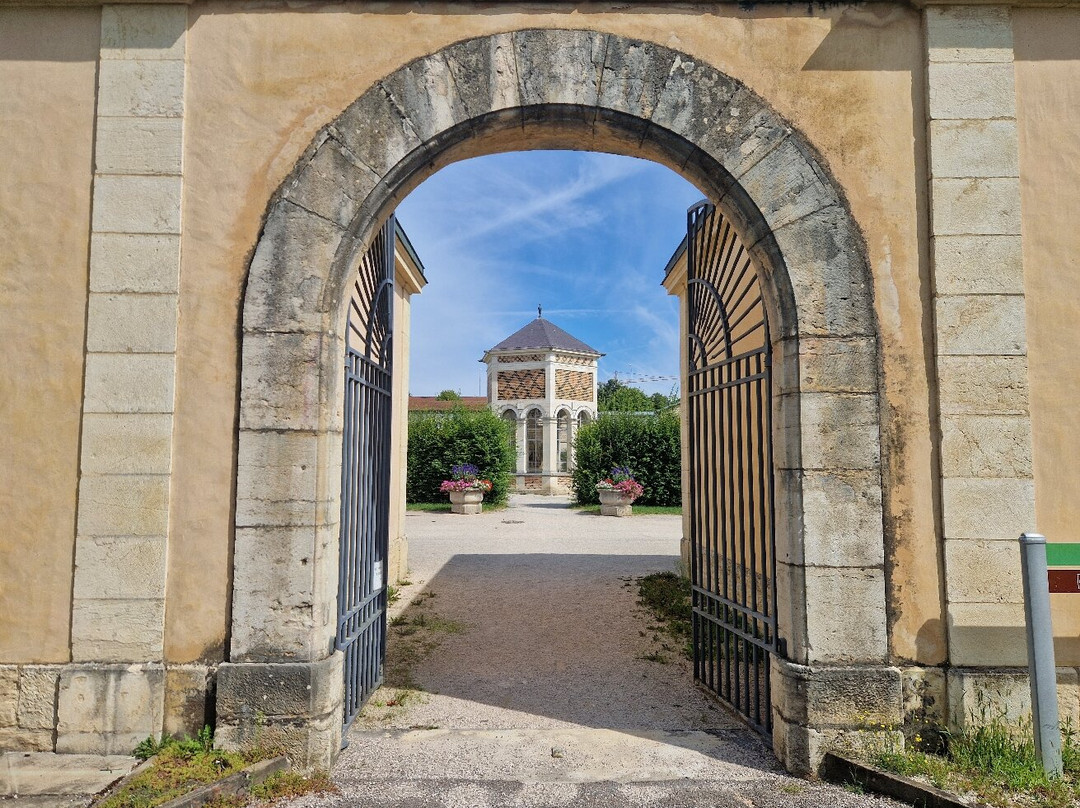 猫头鹰雕刻-第戎必去景点
