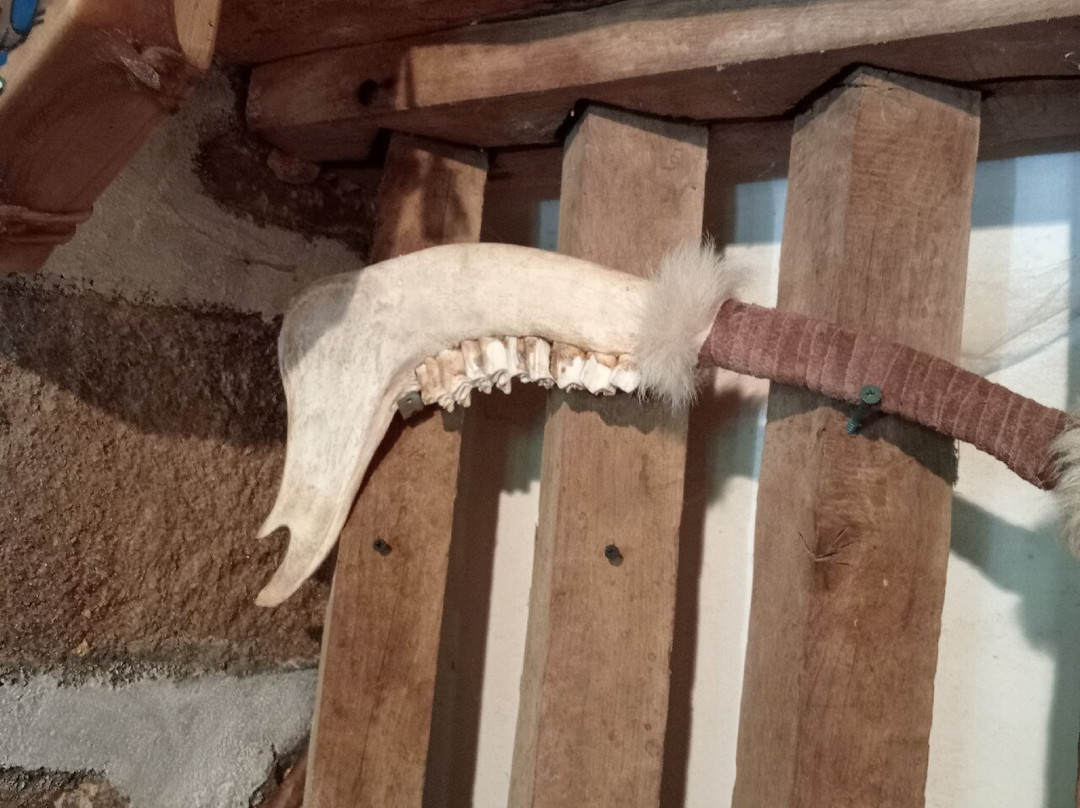 Elevage du Palais-Bourganeuf必去景点