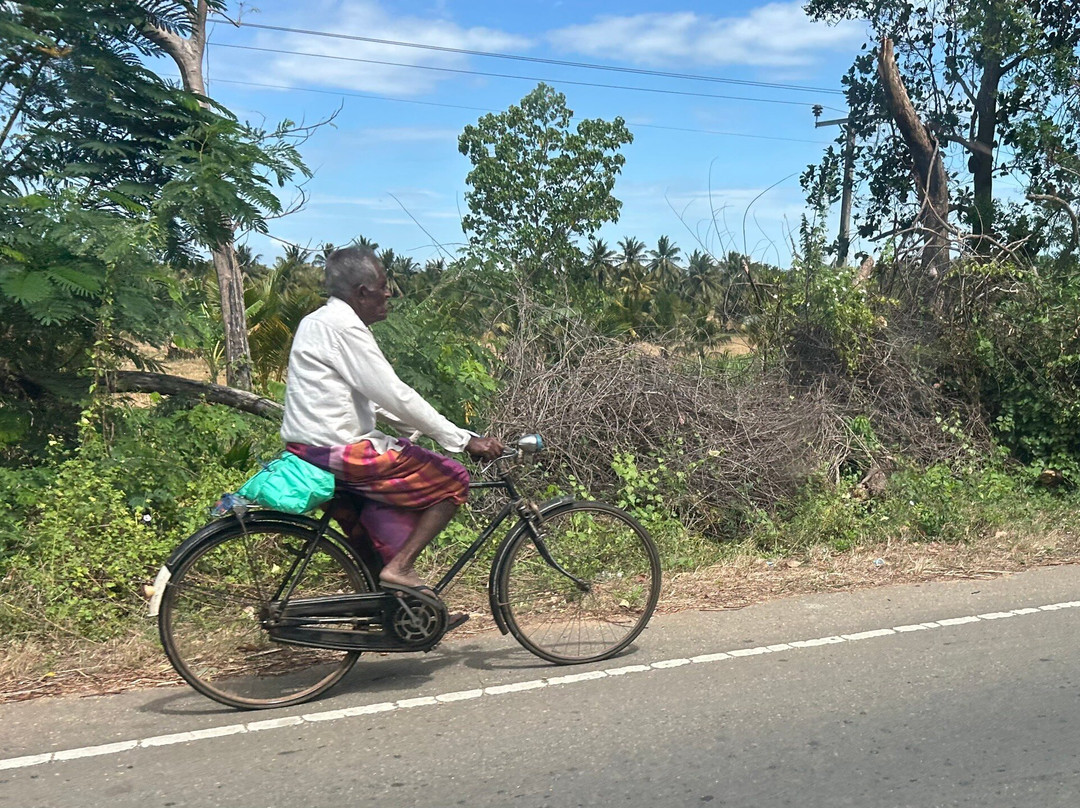 Fernando Tours Sri Lanka-Ja Ela必去景点