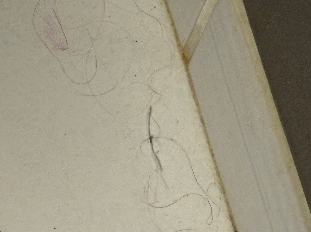 蒙特利尔桑德曼酒店 - 隆格伊主图