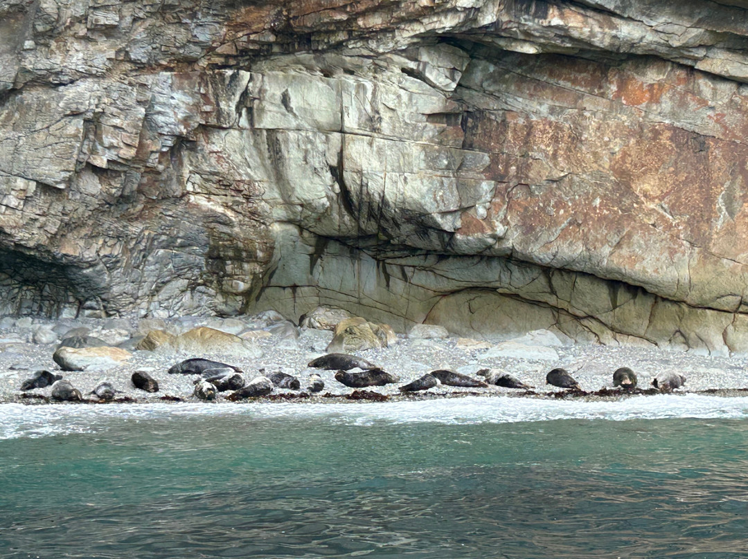 Aquaphobia Ramsey Island Power Boats-St. Davids必去景点