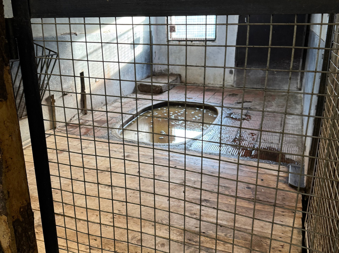 Kaliningrad Zoopark-加里宁格勒必去景点