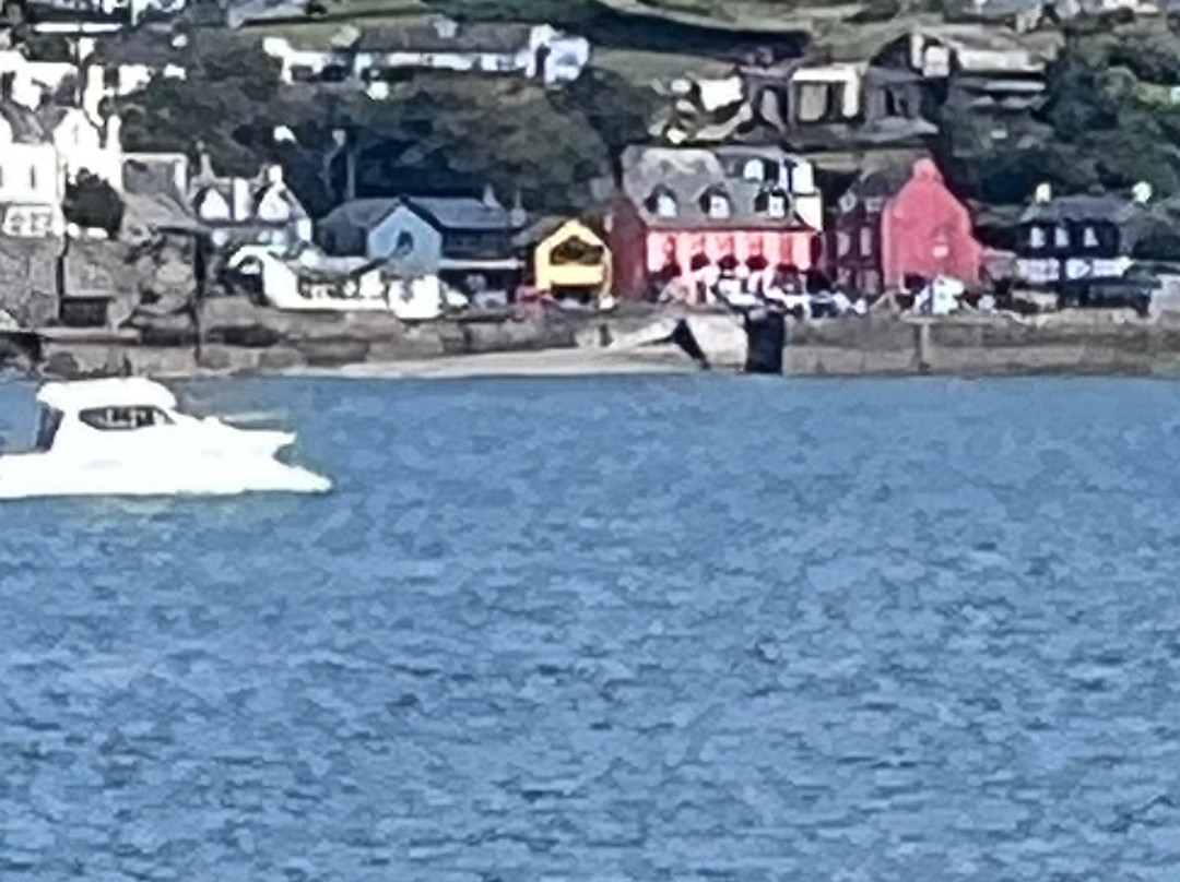 Westport Cruises-韦斯特波特必去景点