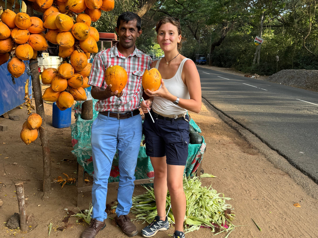 Pearl Of Sri Lanka Travel-科斯戈德必去景点