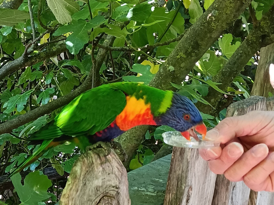 Zoo des Sables-莱萨布勒多洛讷必去景点