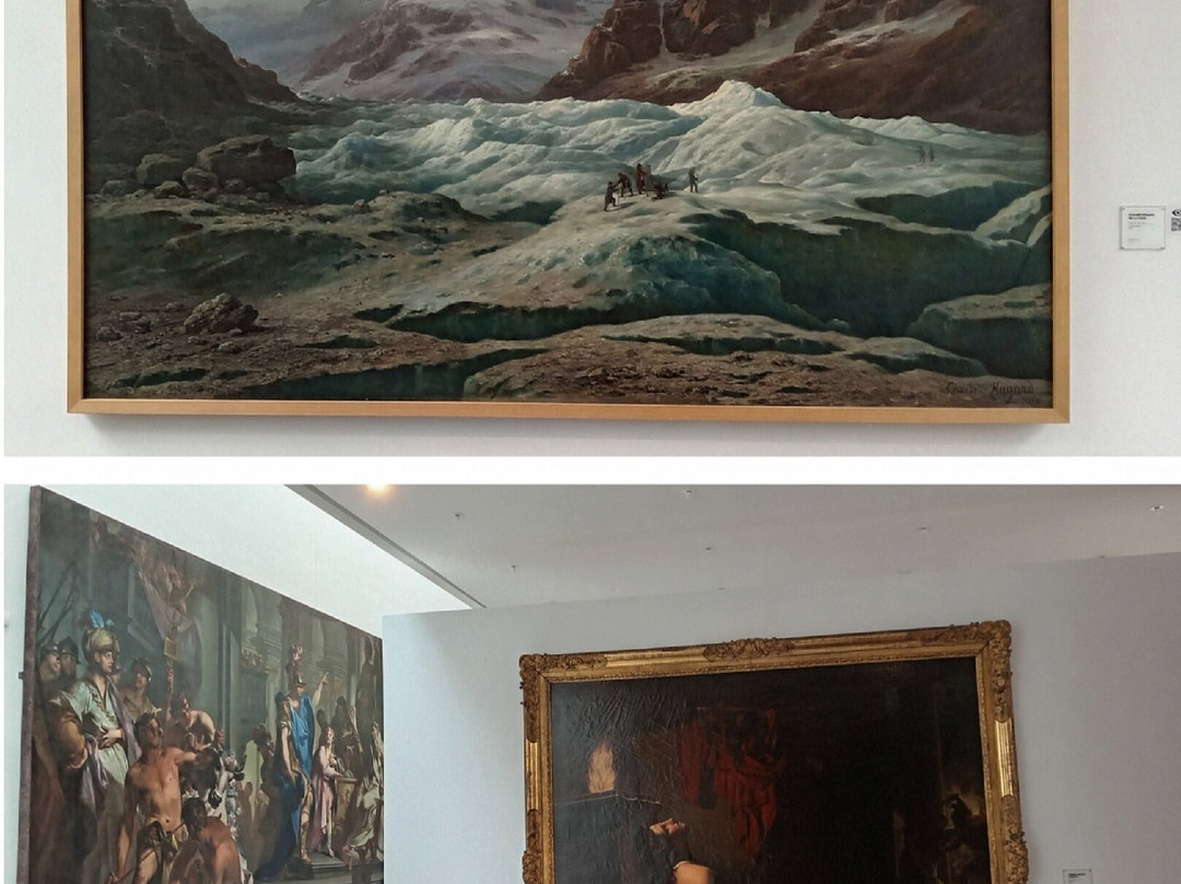 Museo Delle Belle Arti-尚贝里必去景点